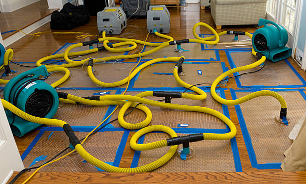 Professional Crawl Space Water Removal technician working in Galena, KS